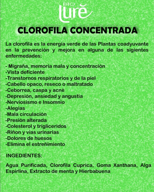 Clorofila Concentrada 500 ml - Imagen 2